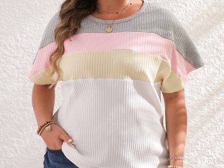 White Colorblock Patchwork Batwing Sleeve Ribbed Plus T Shirt Online Sale